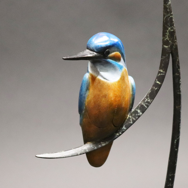 Kingfisher 3